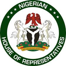 House of Reps pass Bill for National Research and Innovation Council