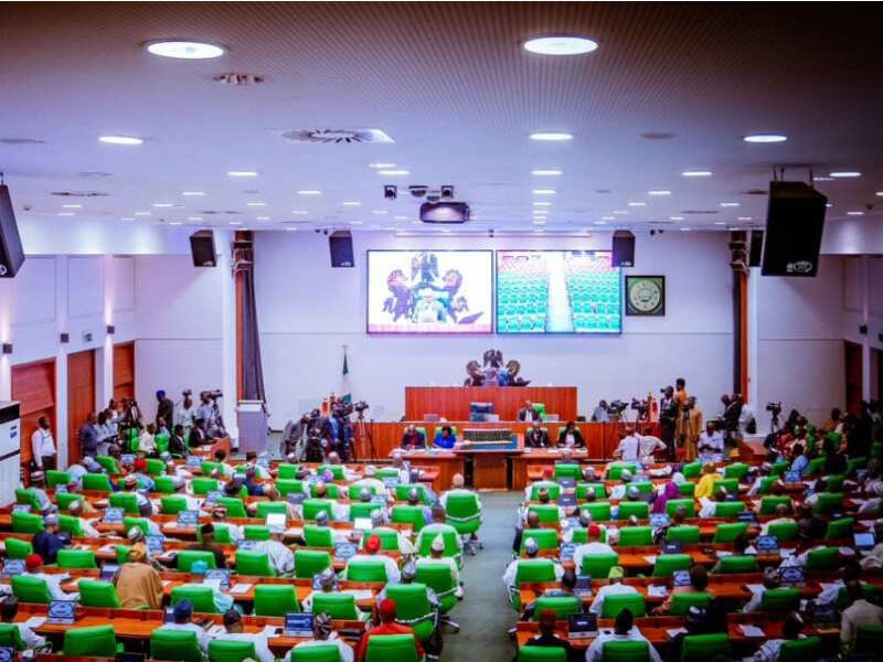 Reps to commence 2024 budget defence immediately