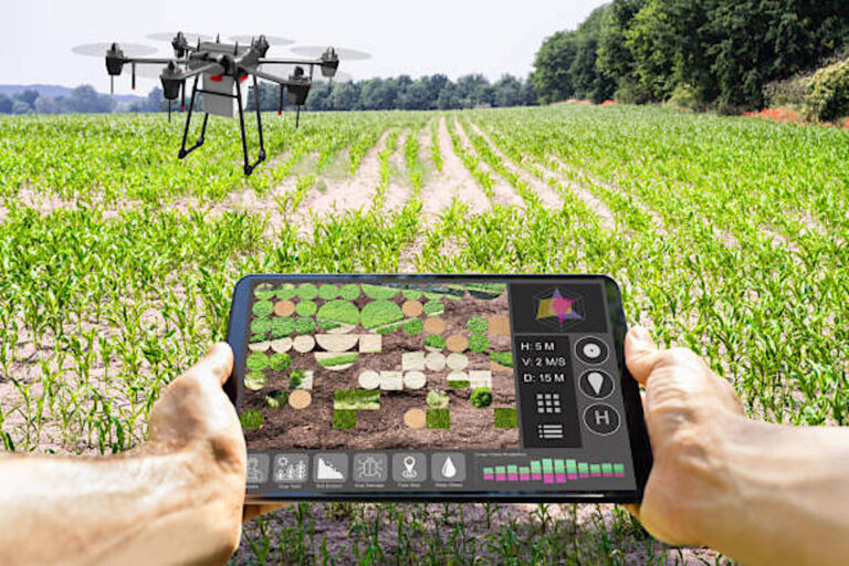 Modern Smart Farming Agriculture Technology At Farm Or Field