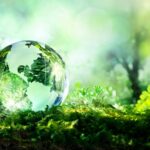 glass-globe-laying-in-green-grass-of-a-forest-representing-ecology-and-clean-environment-16x9