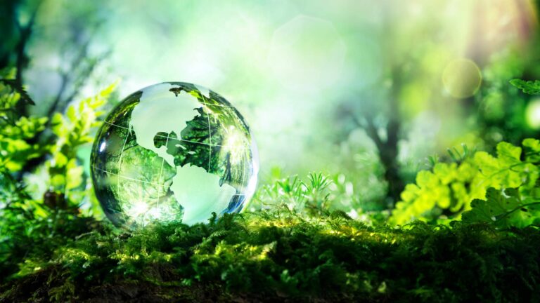 glass-globe-laying-in-green-grass-of-a-forest-representing-ecology-and-clean-environment-16x9