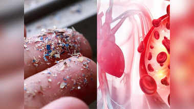 according-to-study-13-everyday-items-and-food-injecting-microplastics-in-the-lungs-and-blood-90975368