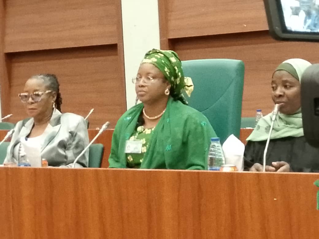 Investigation: House of Representatives Committee Impose Ban on Ministry of Women Affairs and Social Development  2024 Budget Allocation Until Further Notice