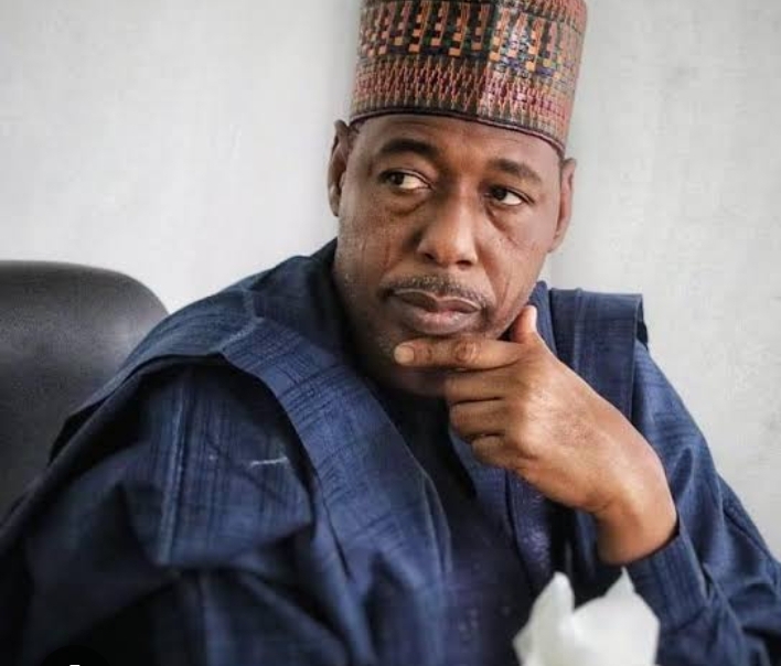 Tax Reform Bill Will Disadvantage Northern Region, Zulum Urges Tinubu to Withdraw