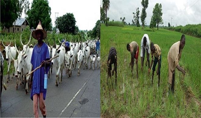 2018_7large_Herdsmen-farmers