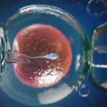 ivf_banner-1170x658