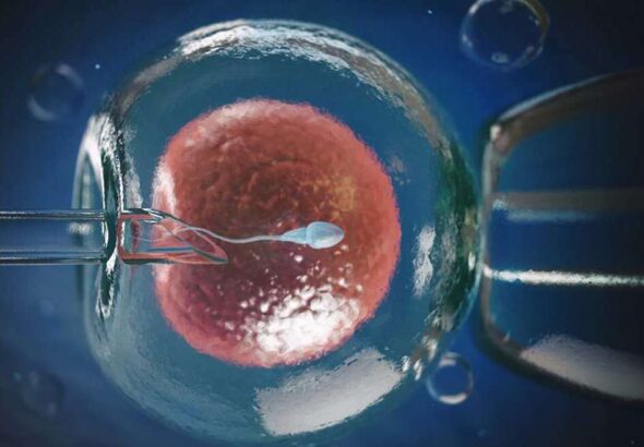 ivf_banner-1170x658