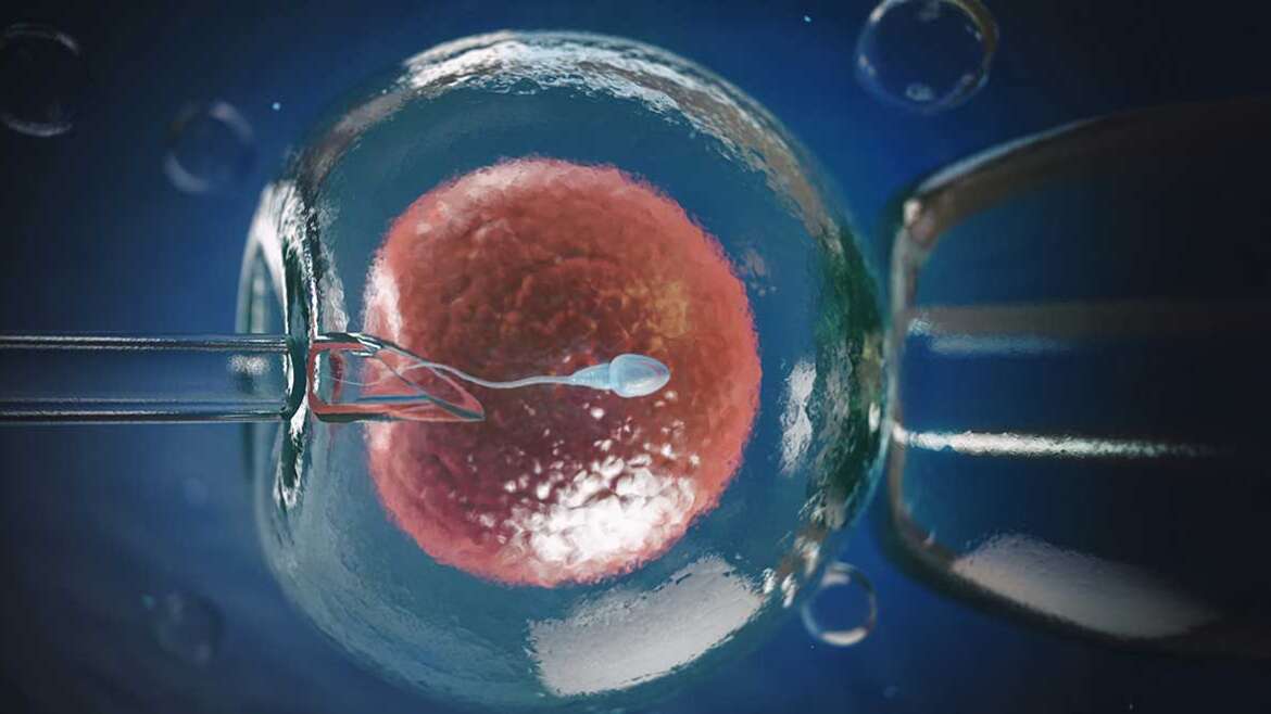 ivf_banner-1170x658