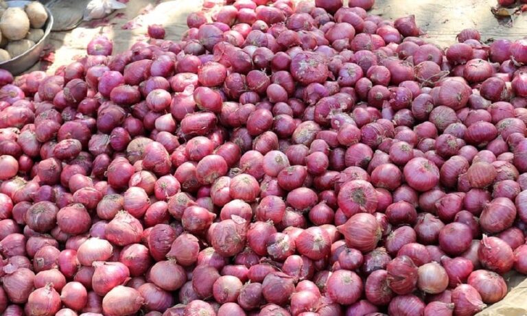 onions_latest_1580354480