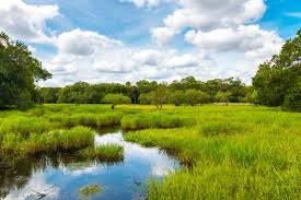 IMG-20260531-WA0095
