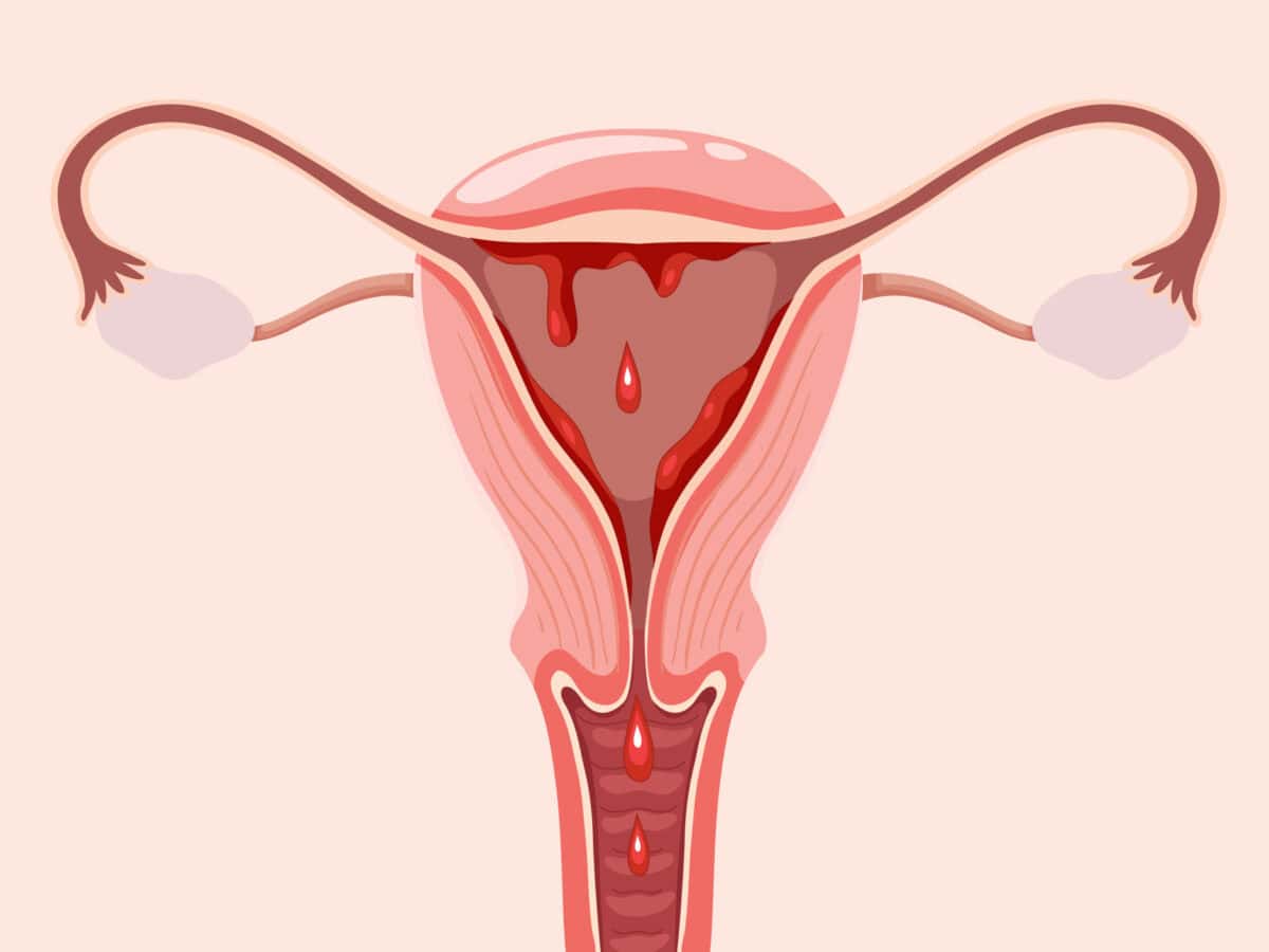 Menstrual-phase-title-1200x900 (1)