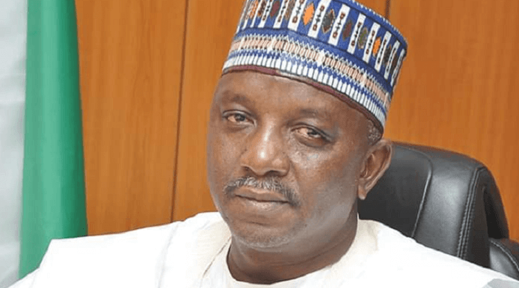 Saleh-Mamman-Minister-of-Power